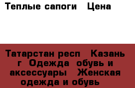 Теплые сапоги › Цена ­ 150 - Татарстан респ., Казань г. Одежда, обувь и аксессуары » Женская одежда и обувь   